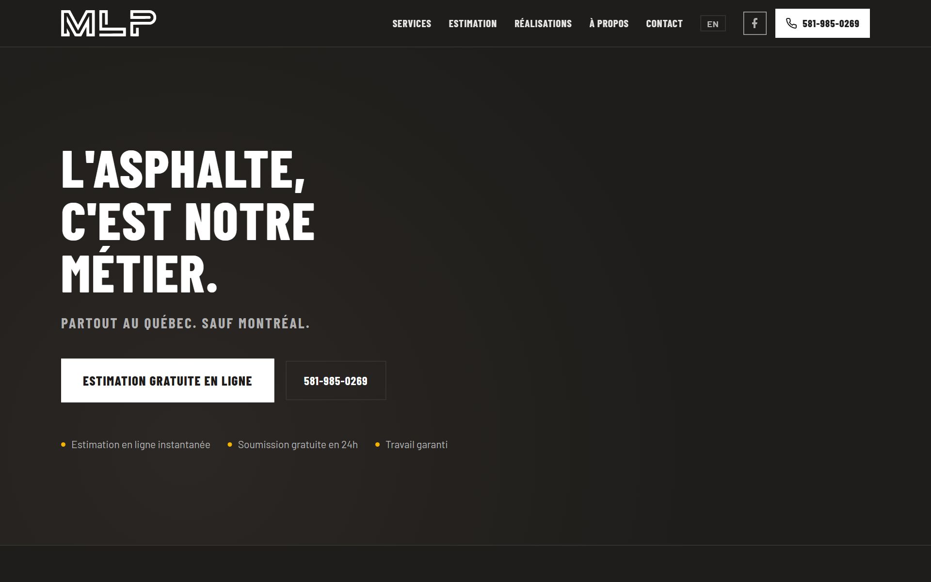 Aperçu du site Pavage MLP